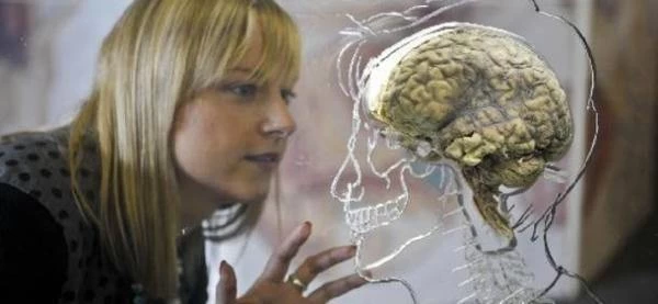 Αποκάλυψη που σοκάρει: Όλοι οι καρκίνοι προκαλούνται από!…